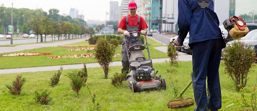 BAHÇE VE ÇEVRE BAKIM YÖNETİMİ
